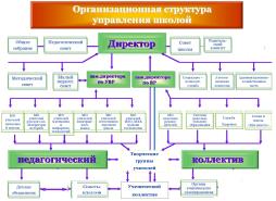 Организация структуры управления школой